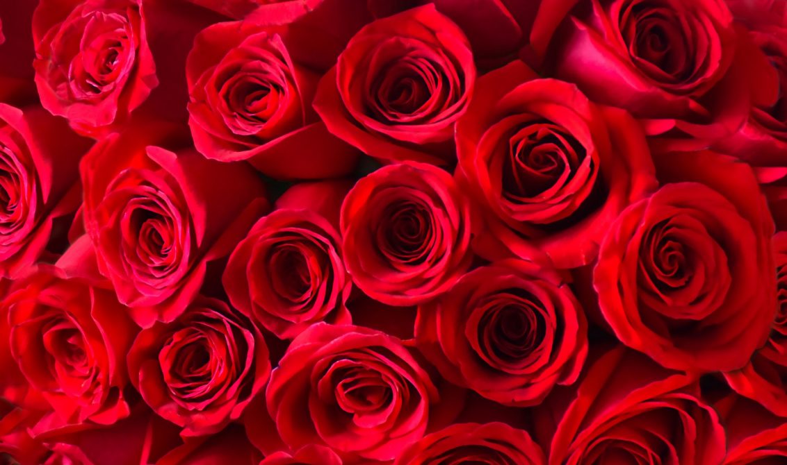 Red roses bouquet background